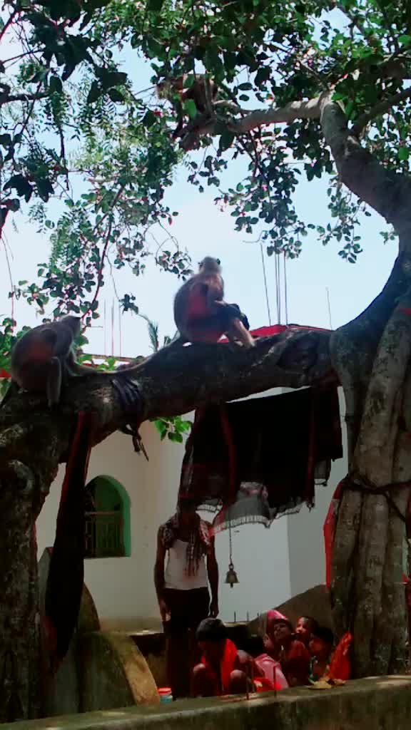 @Kuna Das