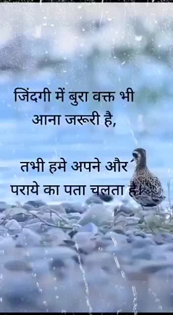 @Thansinh Rajput