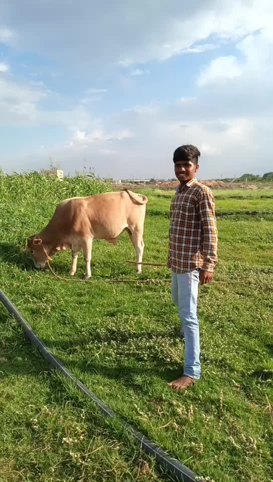 @VaddpalliNareshLaddu