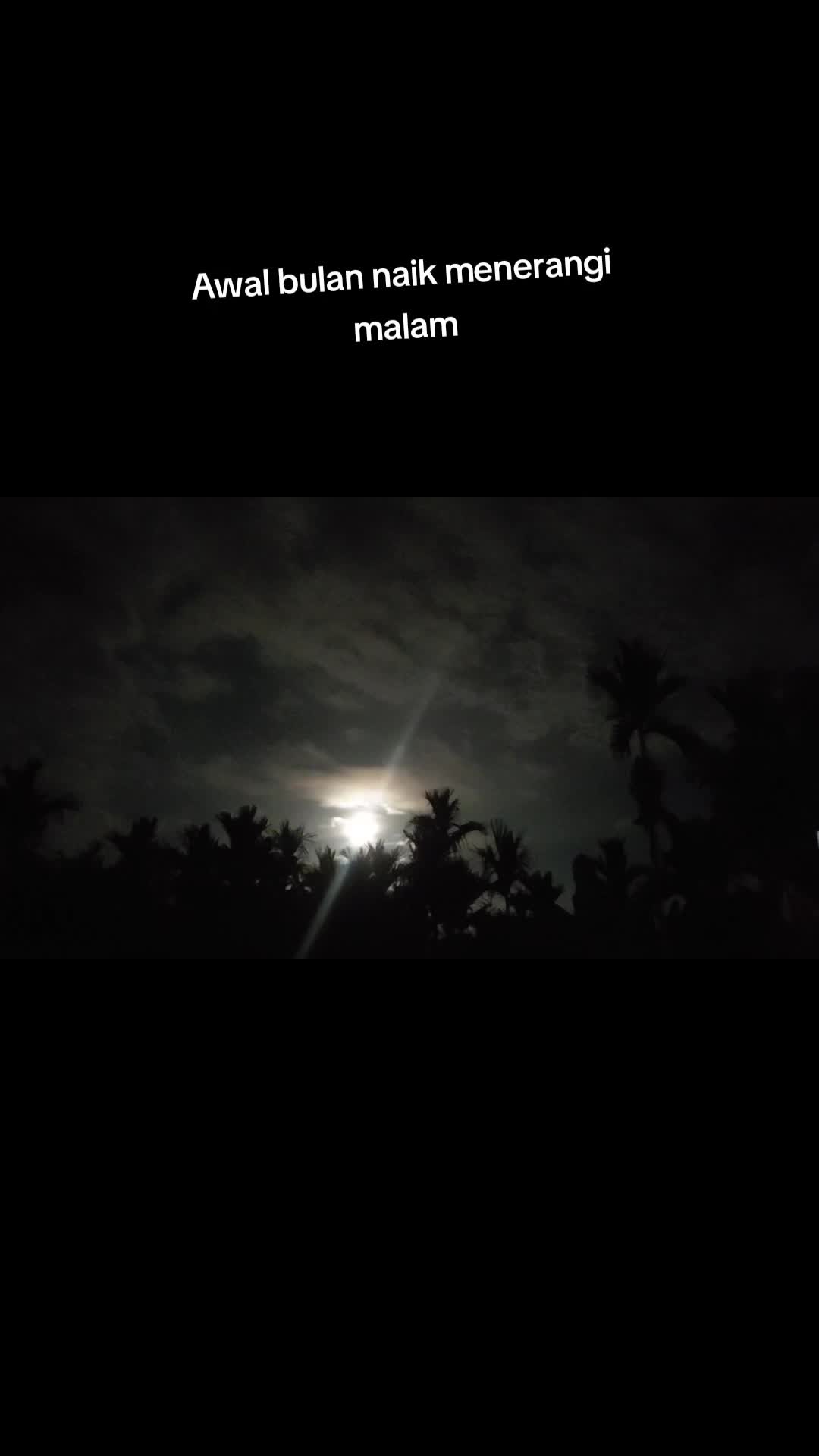 @Mentari Pagi