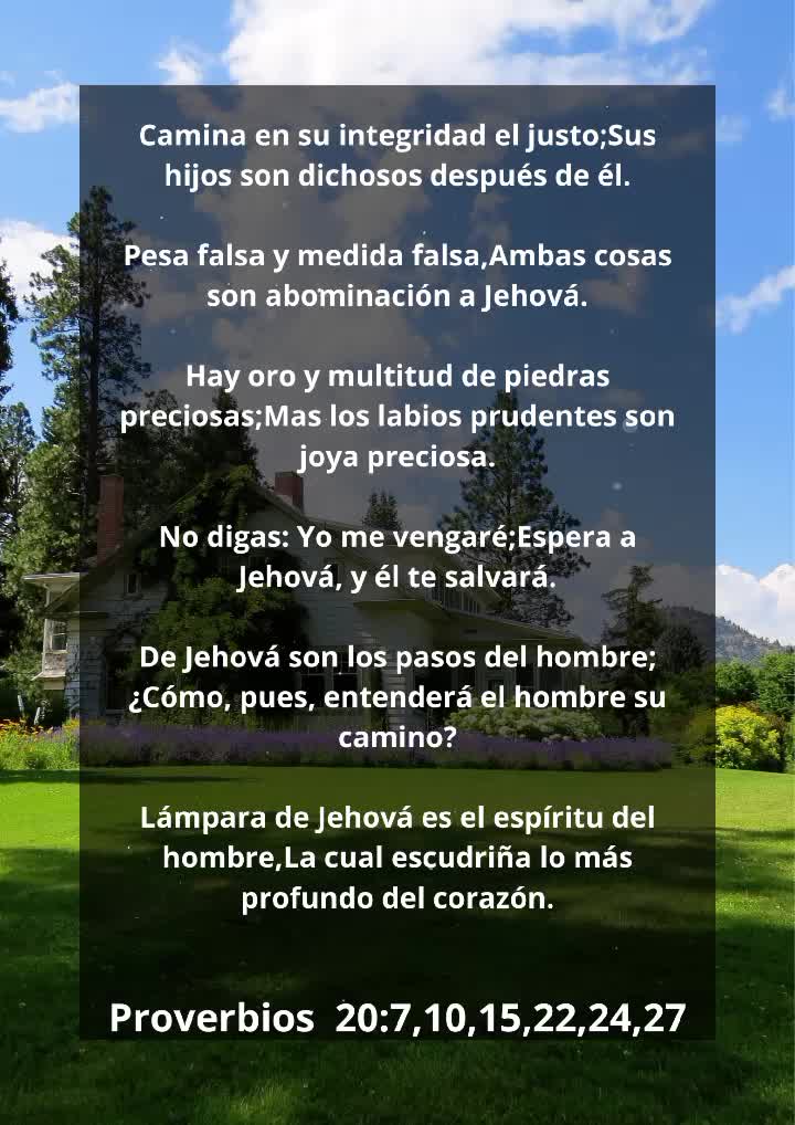 @Vicayquipa