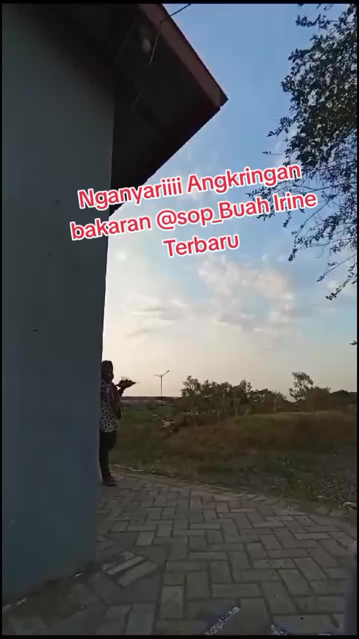 @wabihamdhi