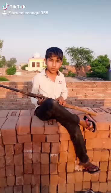 @Ammi Singh