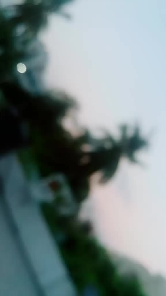 @pralekya❄️