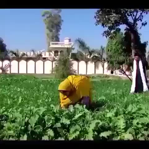 @Satpal Singh