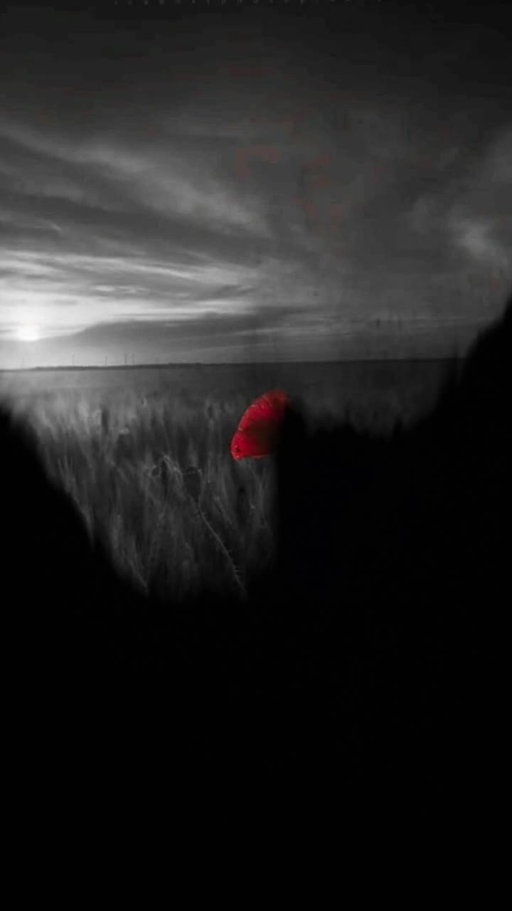 @foysol rubel