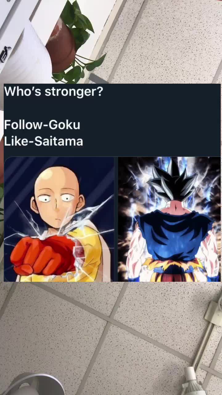 @᭙ꫀꫀ᥇𝘴