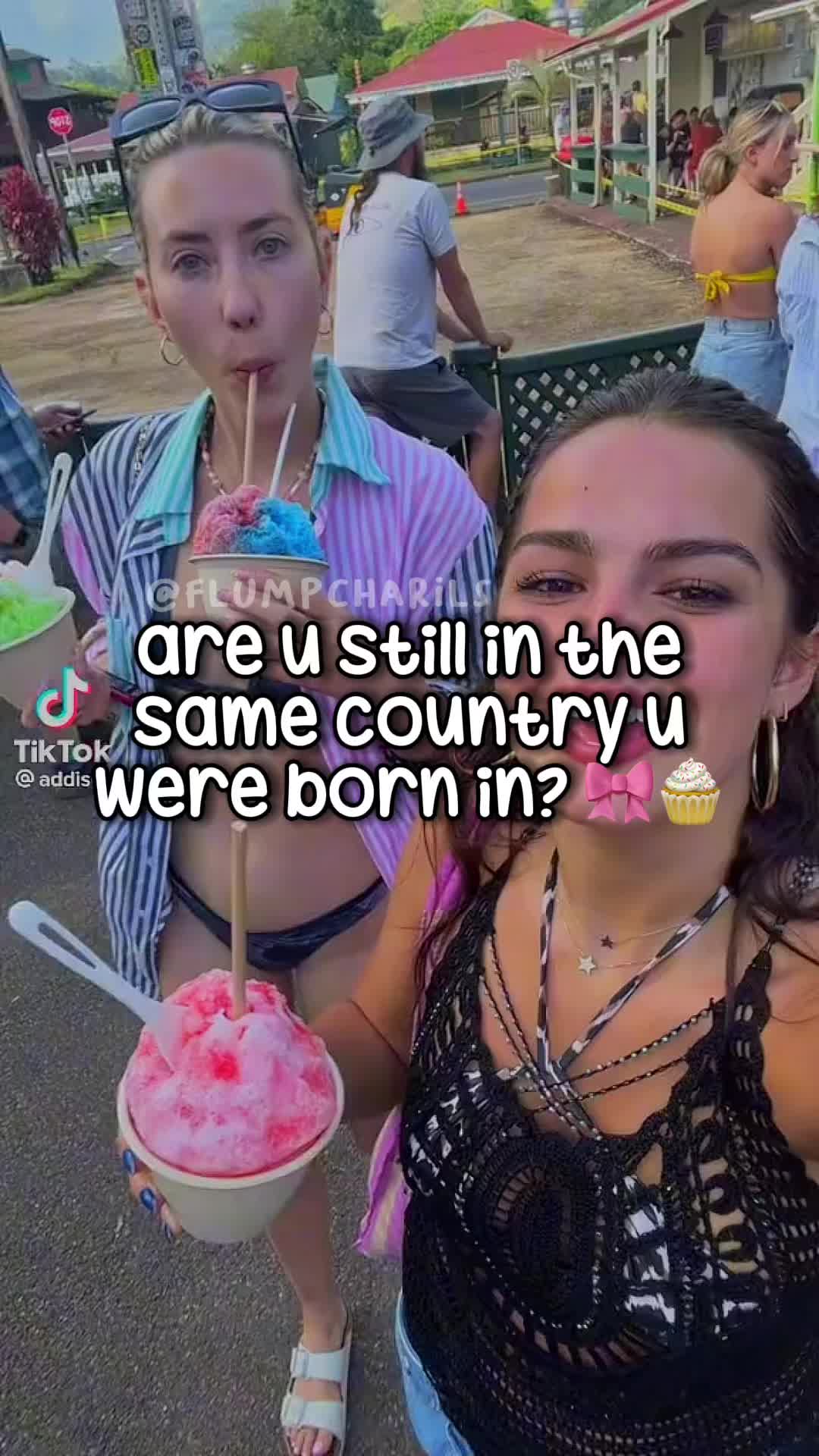 @ʚ charlotte ɞ