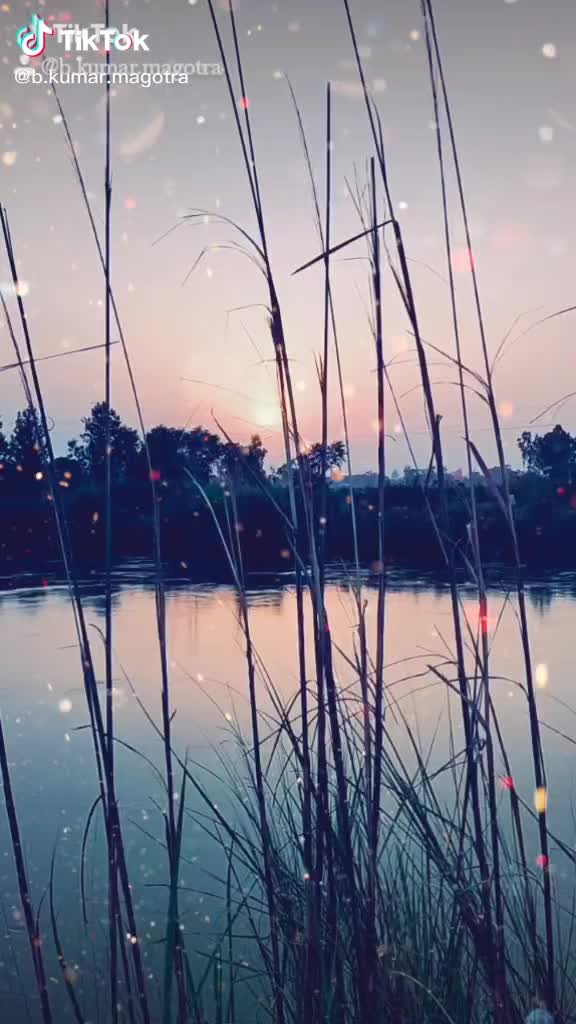@devender