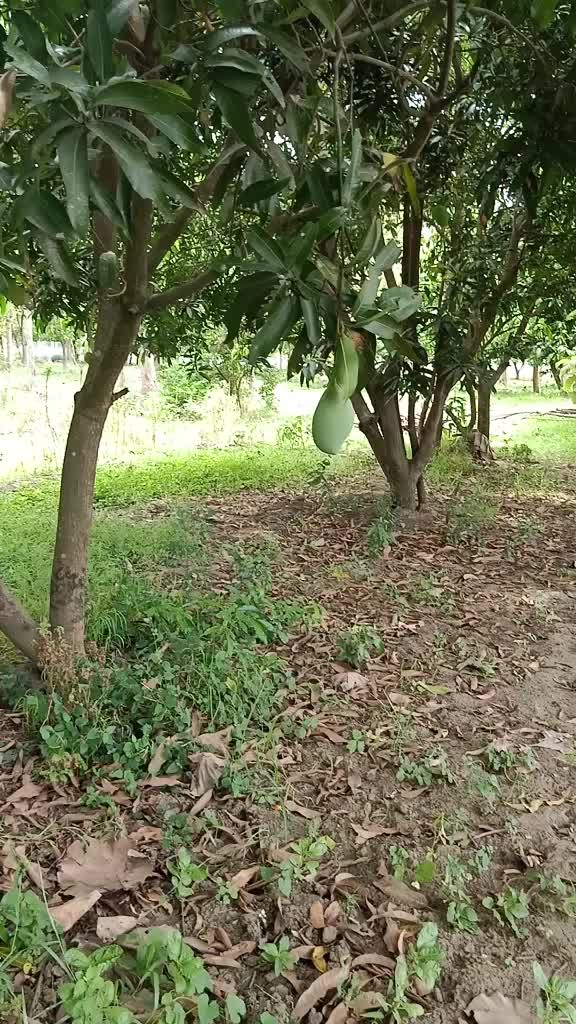 @yazhini❤