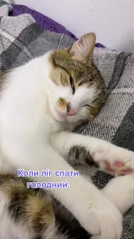 @Мурка