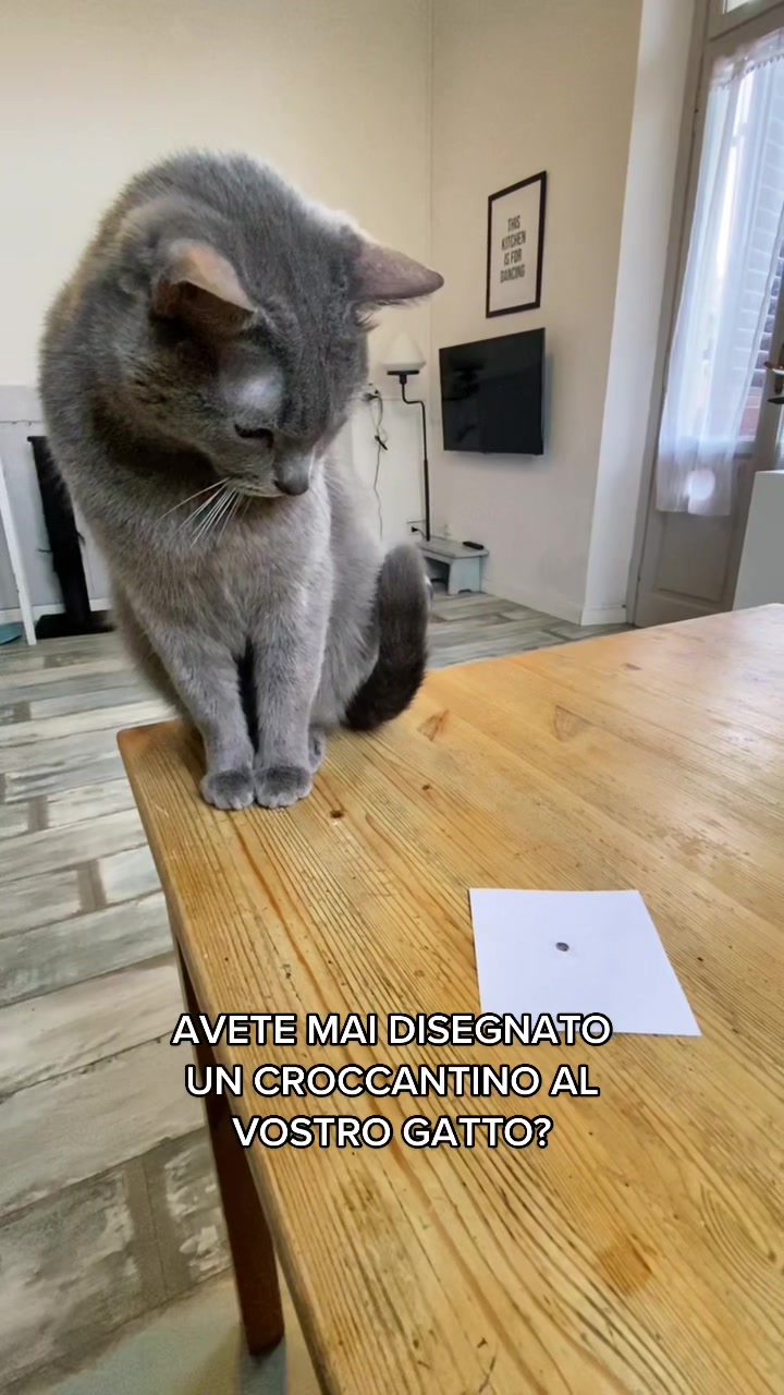 @DynamicFrankie