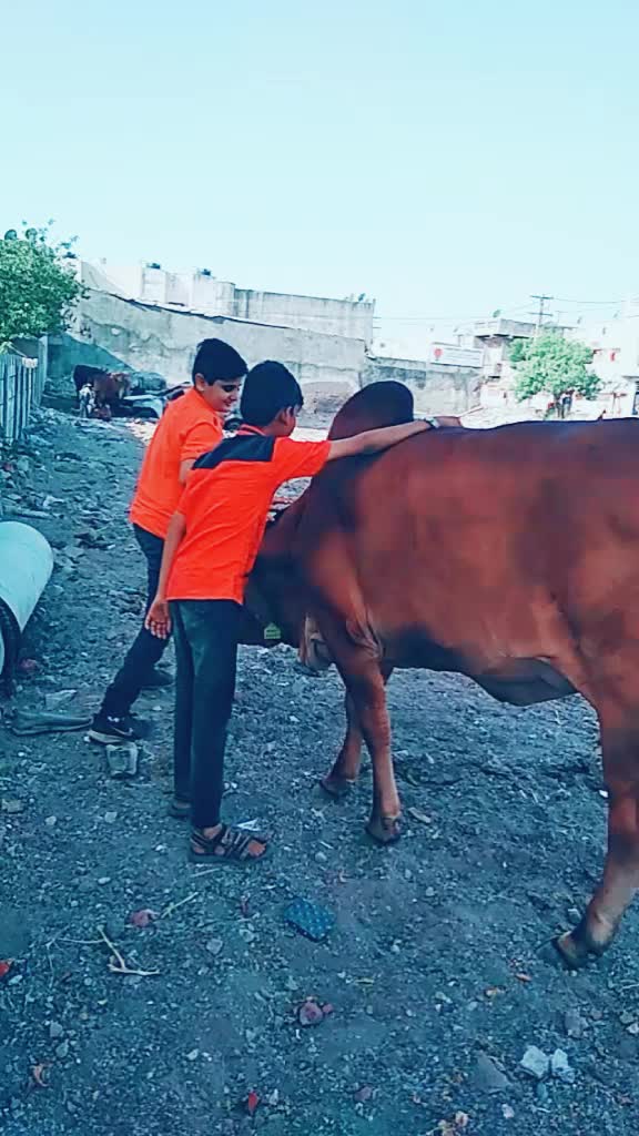@govindo_bharvad_4600
