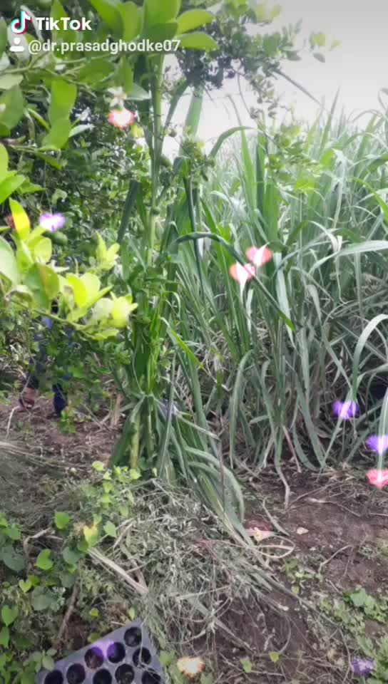 @😍 परश्या 07😍