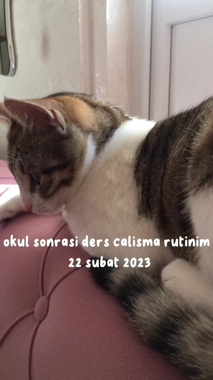 @🤍