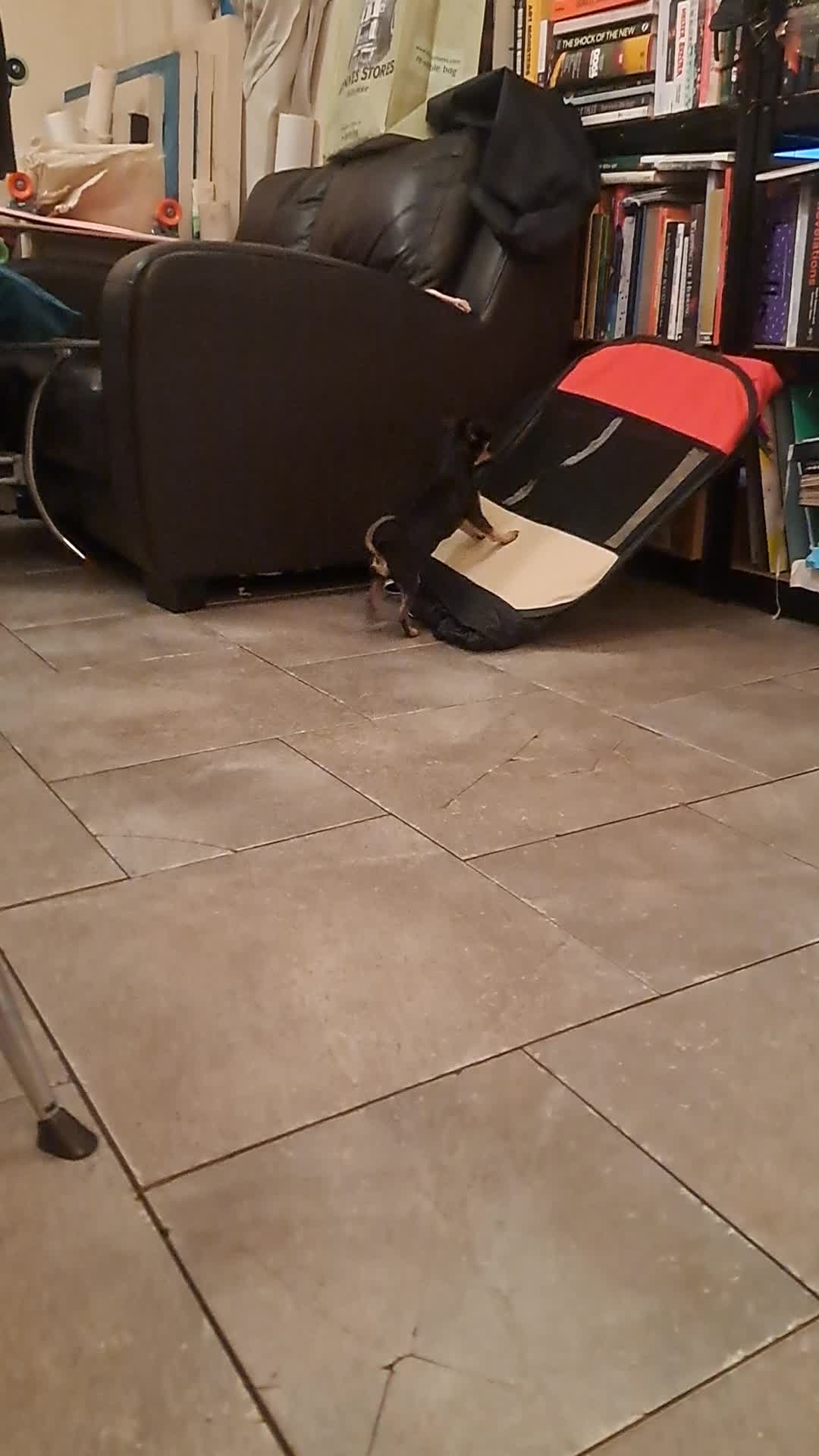 @pepper // pawggersgoth