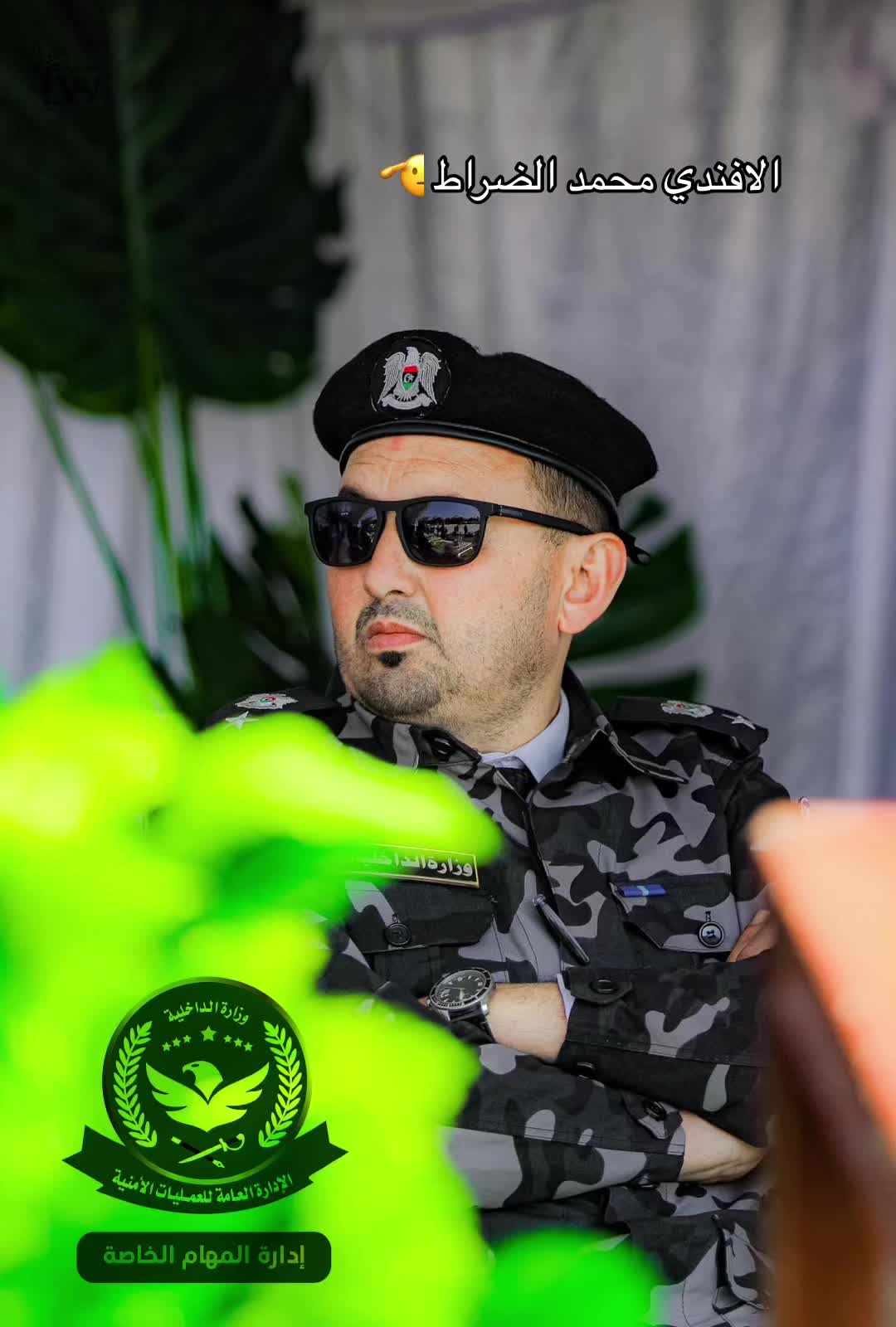 @أسد المهام