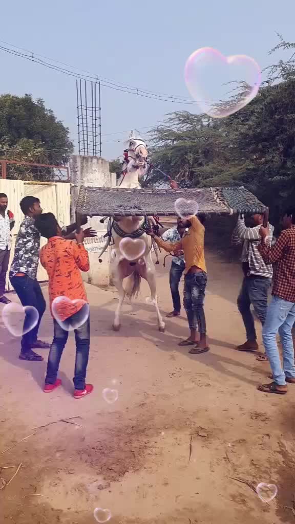 @JAY_MATAJI