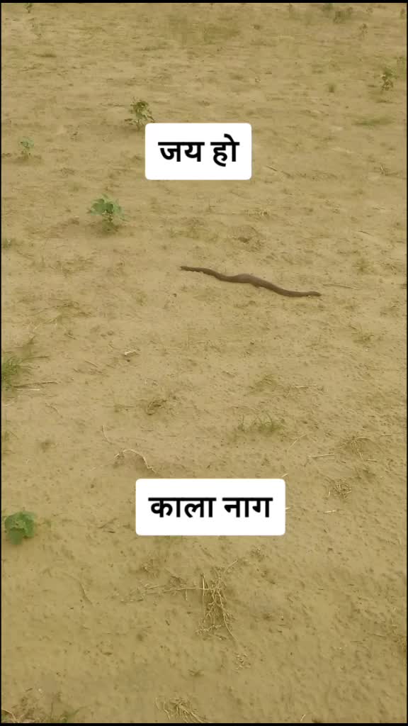 @Rajput Boy 🇮🇳🙏🔥