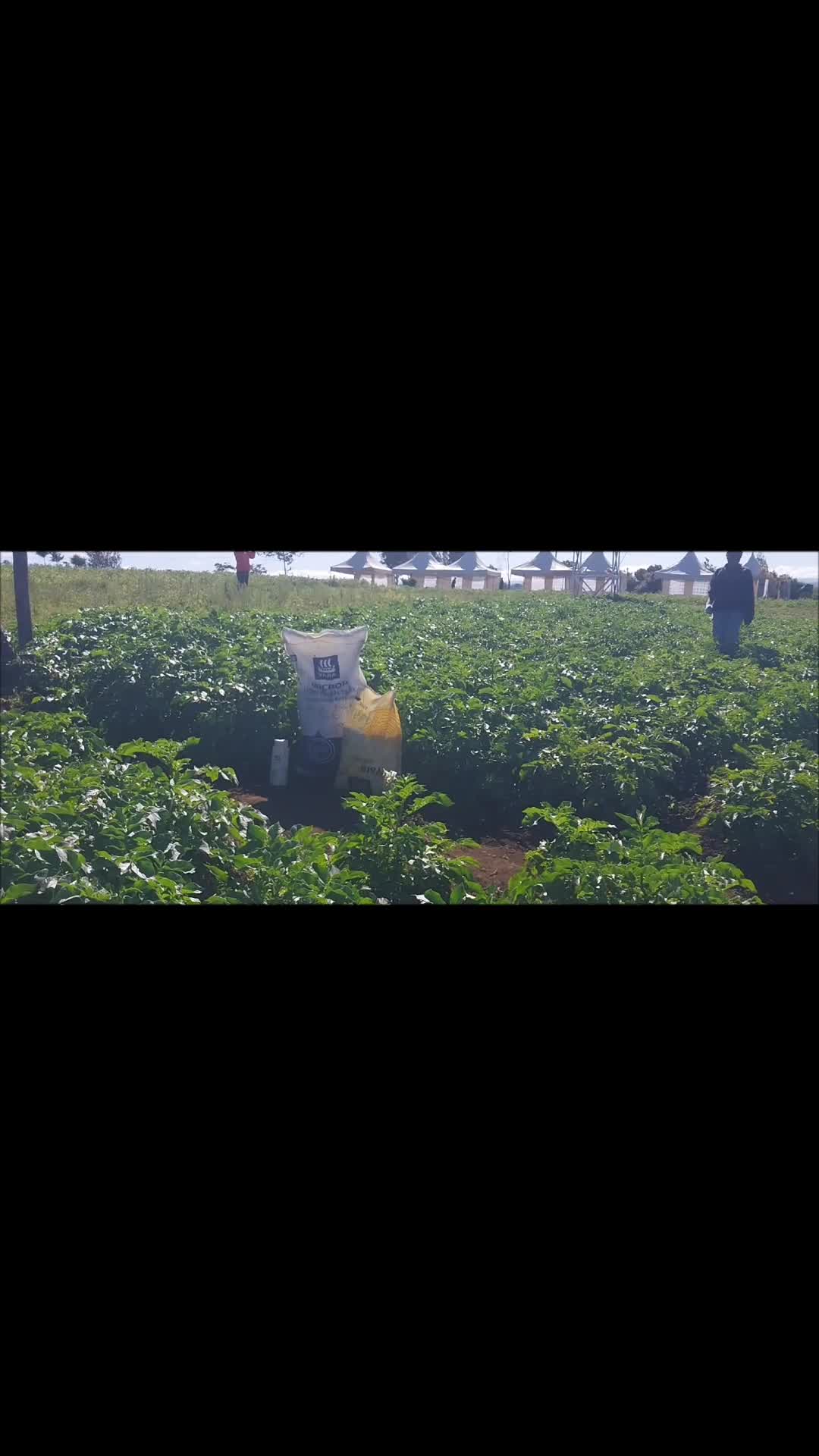 @agriinnovationhub
