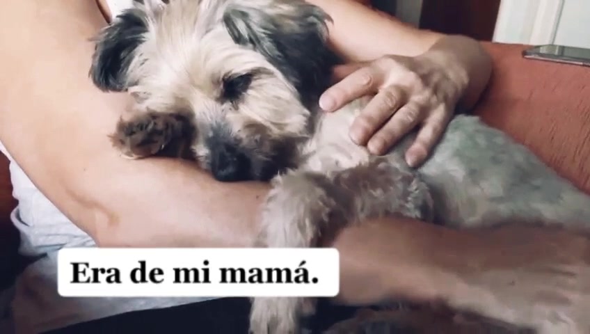 @Verónica Cerrato