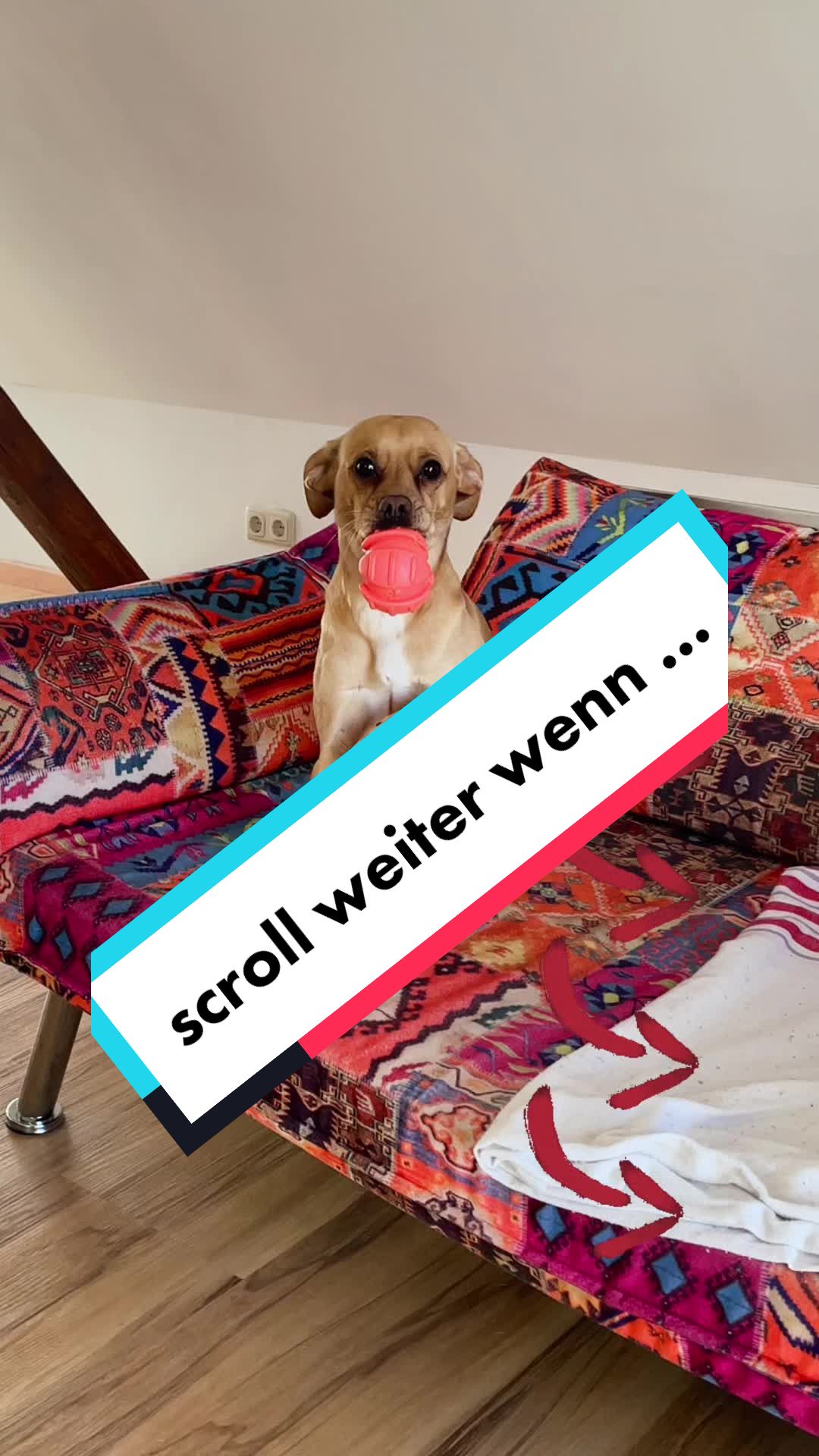 @Mäx