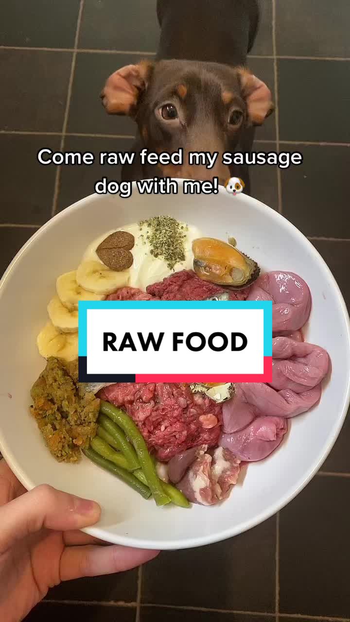@rawfedASMR
