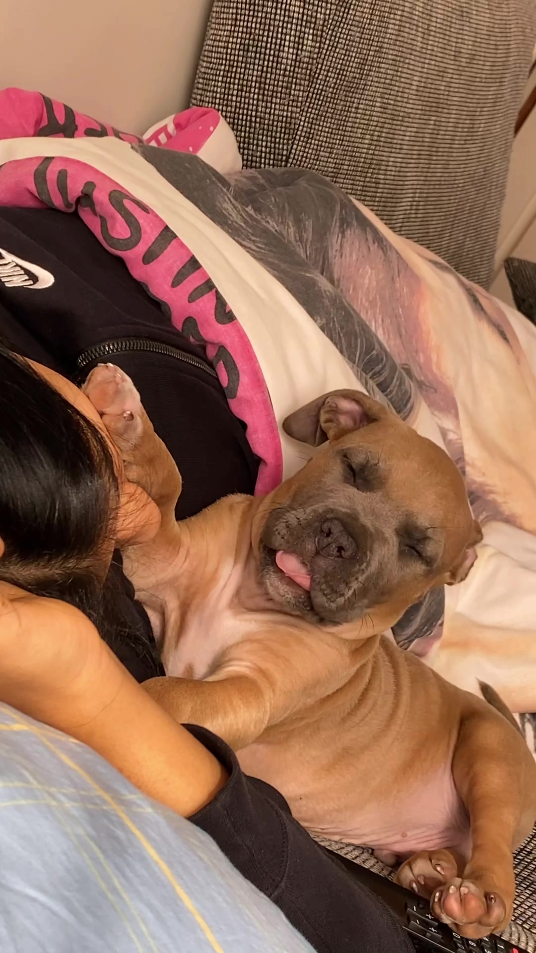 @lifeofpacoo