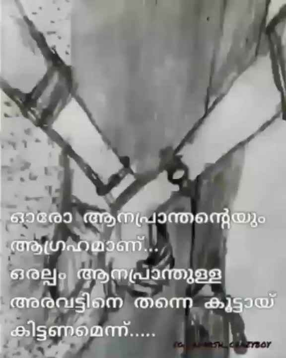 @vishnu_kavil