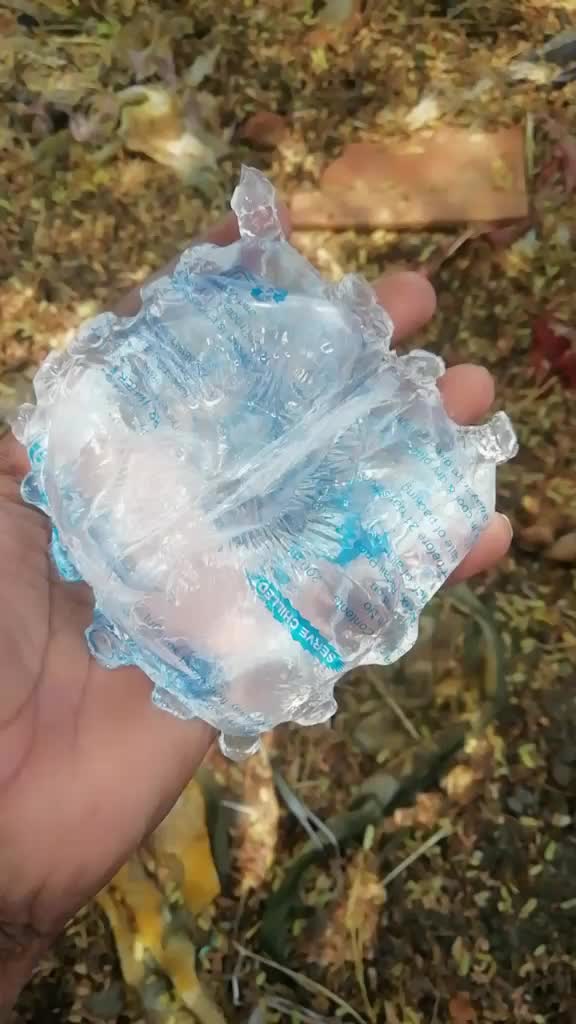 @MS9858FB