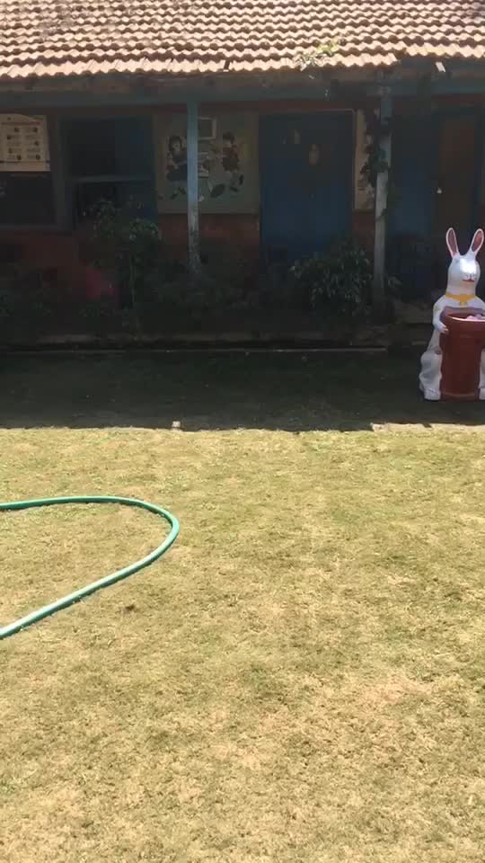 @Akash Patil
