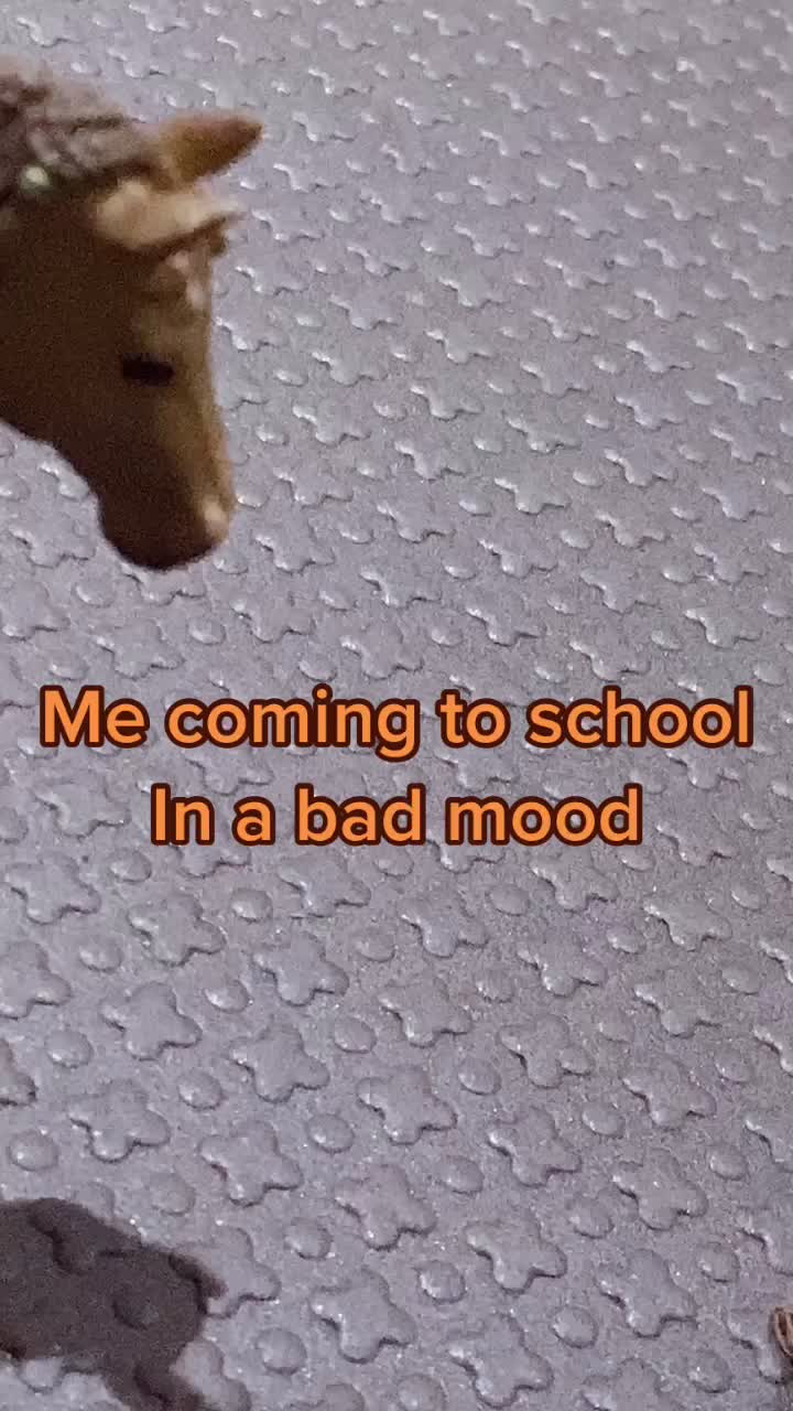 @โก๐ค๐๐๐๐๐๐๐ ๐๐๐ โก