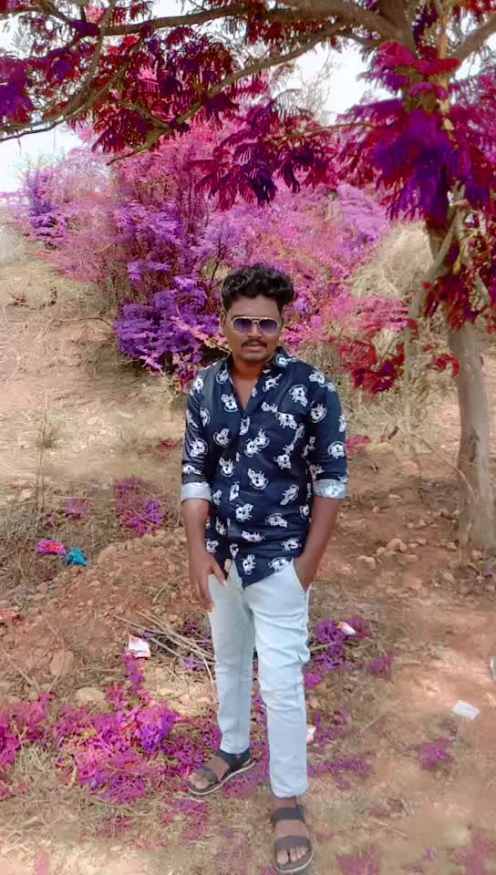 @Anil Daya