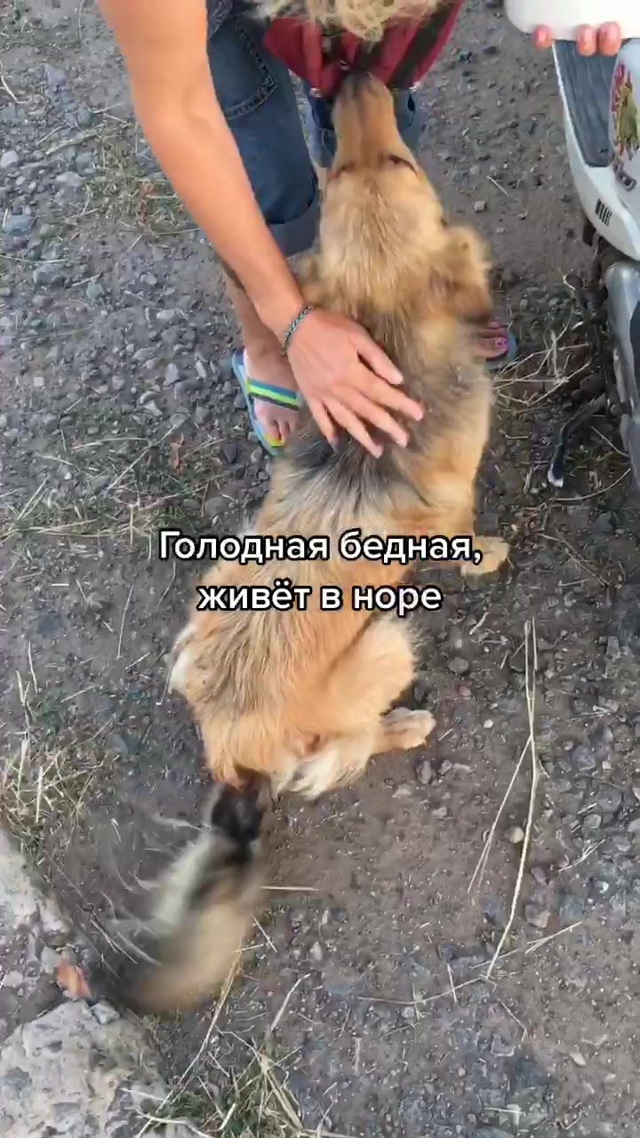 @PRINCESS.IRINA