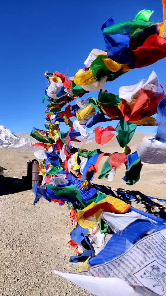 @Sujit.nz