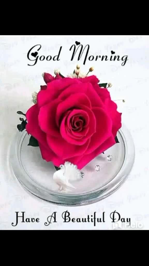 @HarpreetkaurLehal