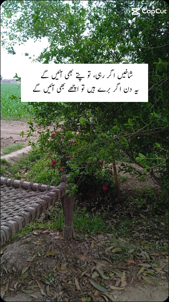 @viral tolk