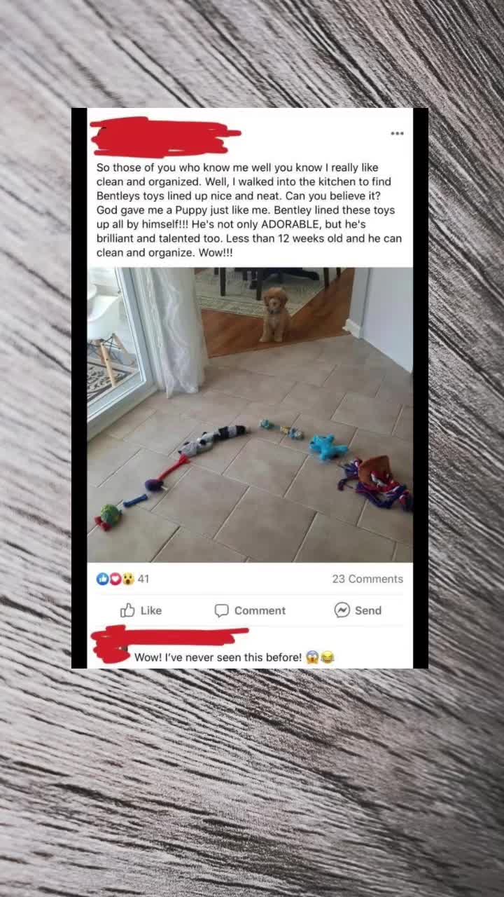 @r/thatHappened