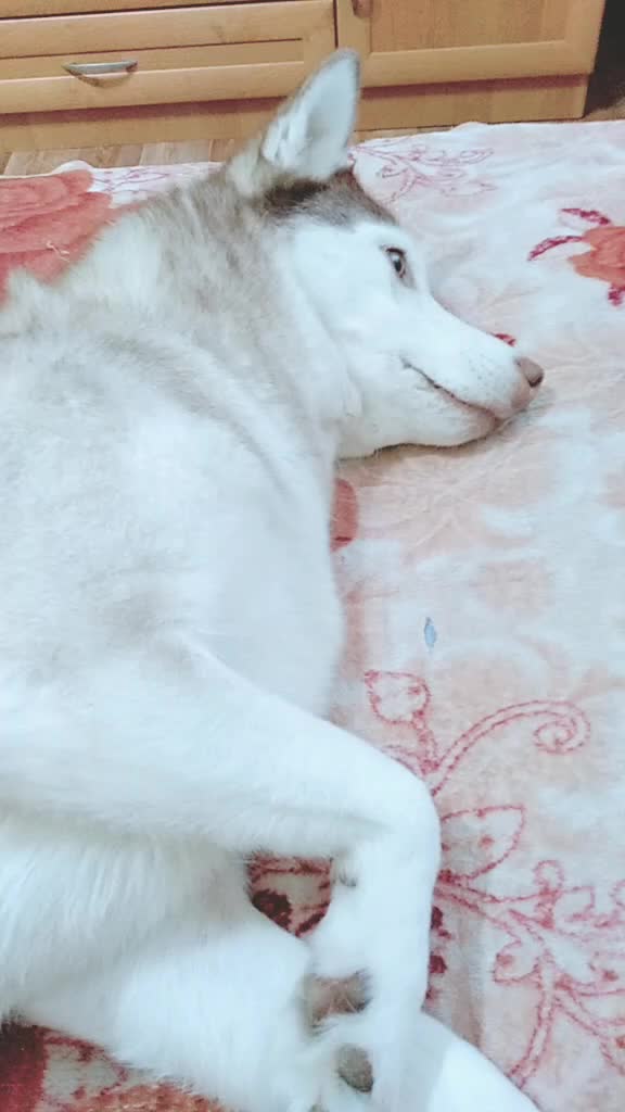 @НАТАЛЬЯ ЛИМАНСКАЯ