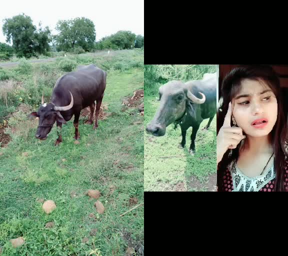 @user2713688918903
