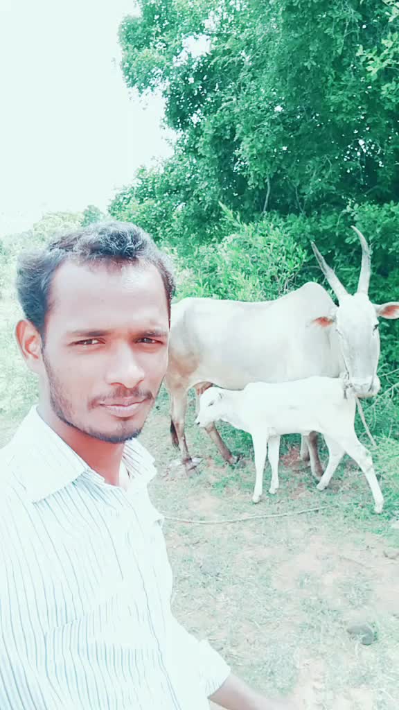@MS govindaraj