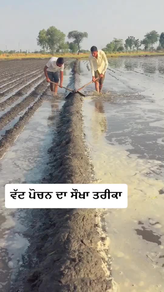 @SEHAJ DHILLONz