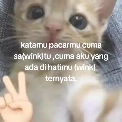 @๐๐๐๐๐๐๐๐.