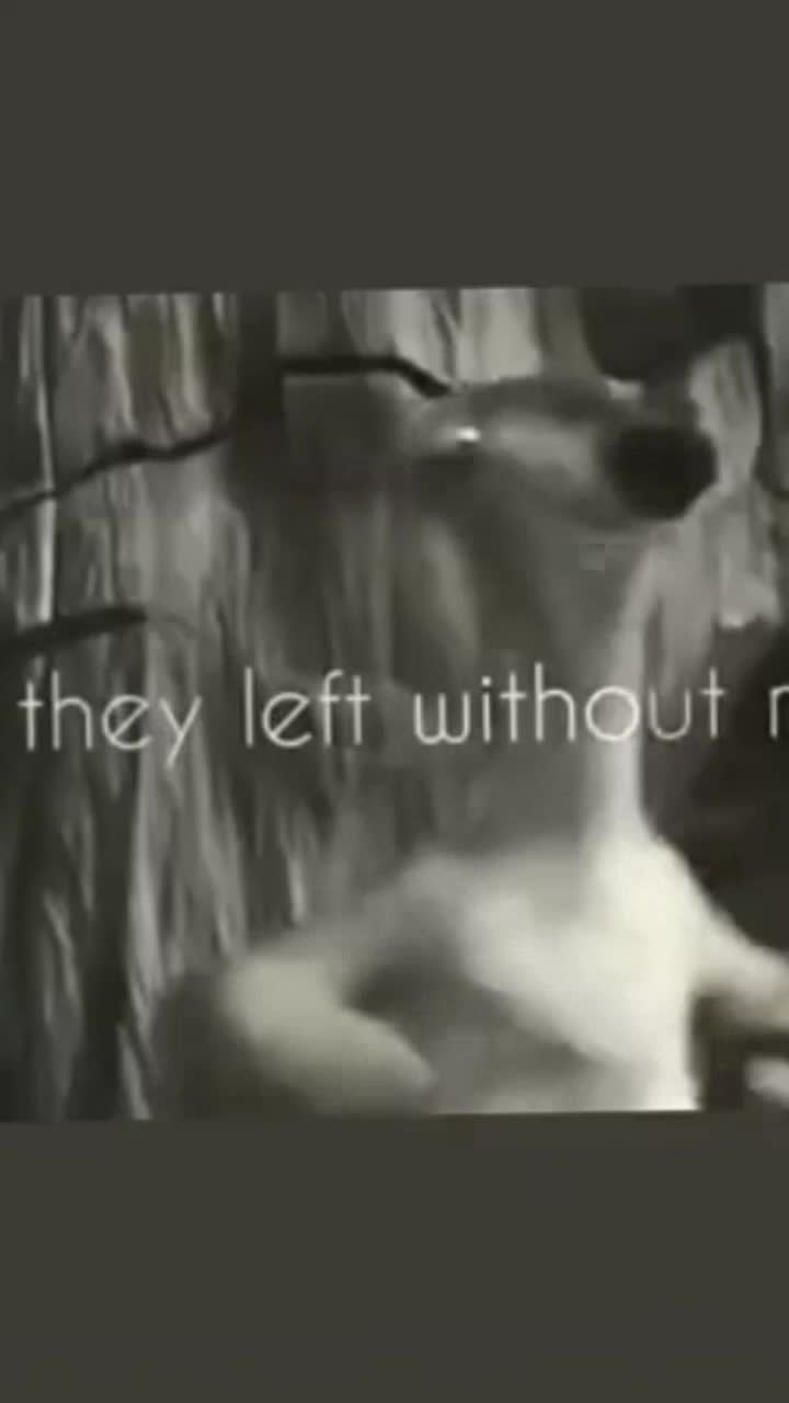 @pain.._..hub.._..sad