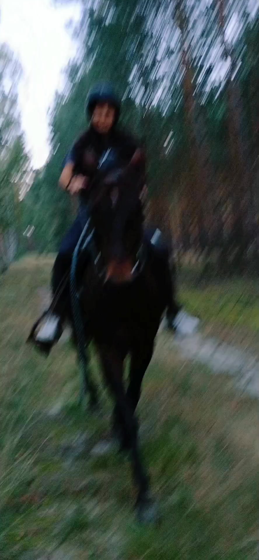 @🐎🎶Madziula💃🐬