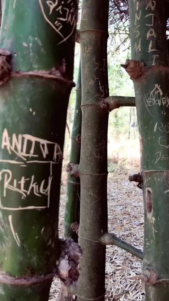 @NITHIN NITHZ