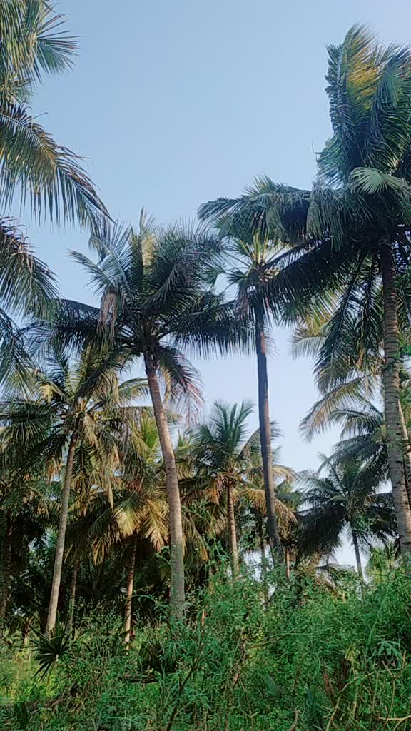 @muniguru