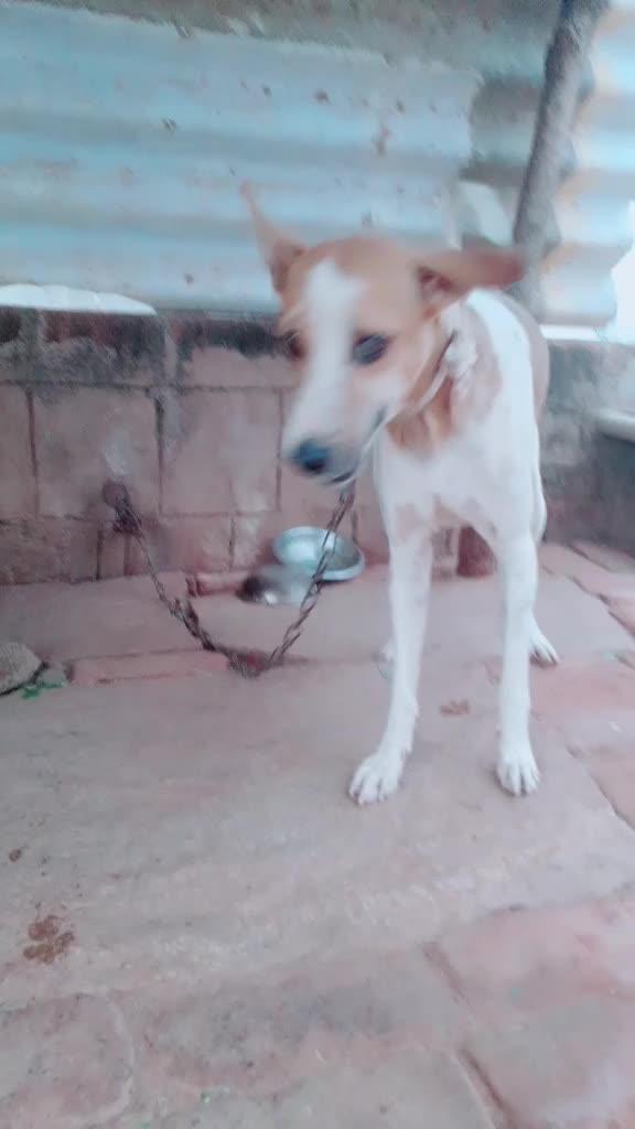 @hariharan68764586285