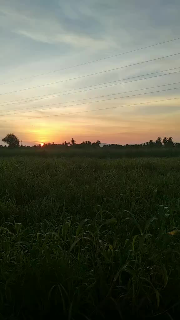 @user205568