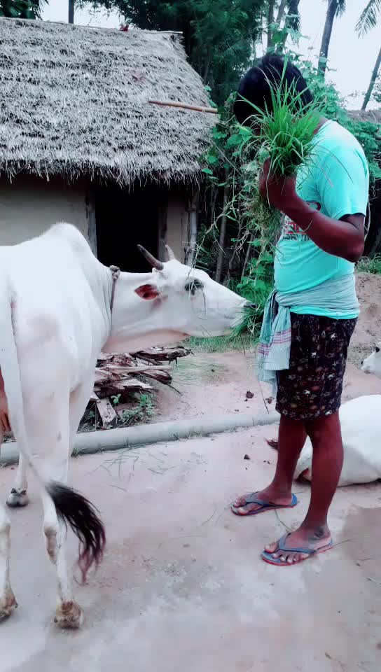 @pintu sahu user89766
